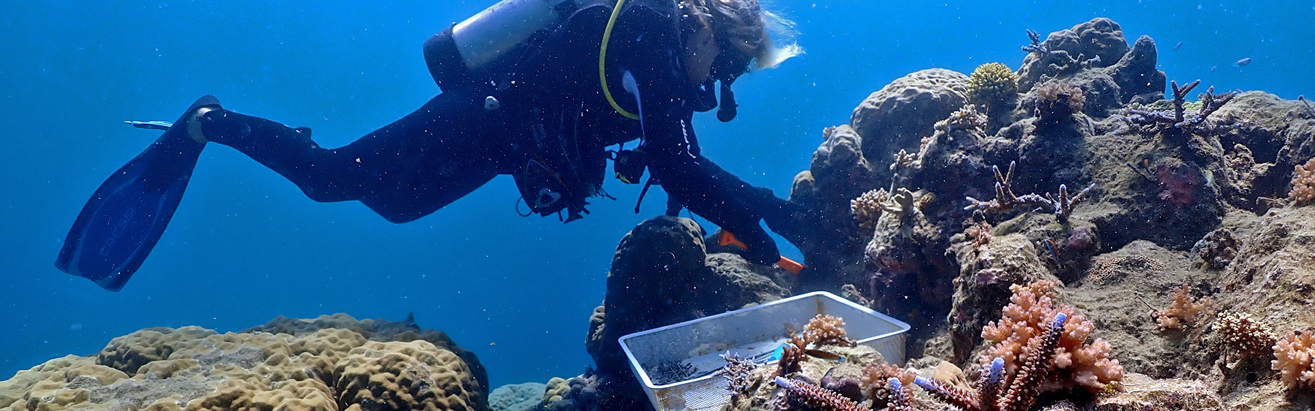 OUR METHODS <span>PROTECT EXISTING CORALS  </span>