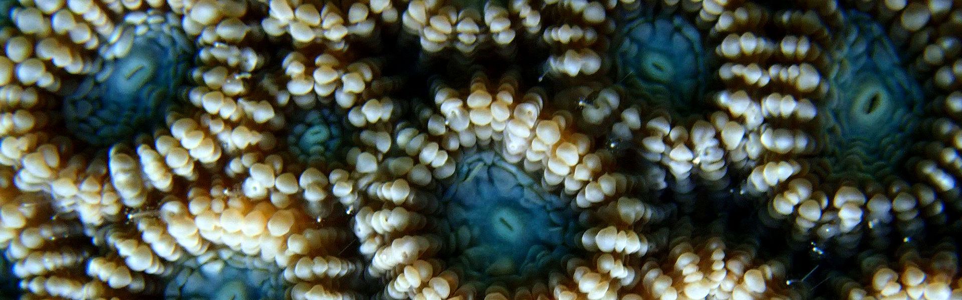 OUR SUPPORT & <span>FUNDING PARTNERS</span>