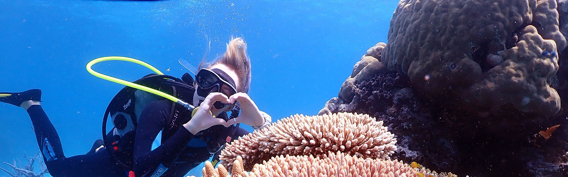 OUR PROGRAM'S <span>RESEARCH COLLABORATORS </span>