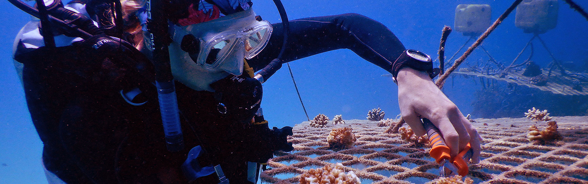 OUR PROGRAM'S <span>RESEARCH THEMES  </span>